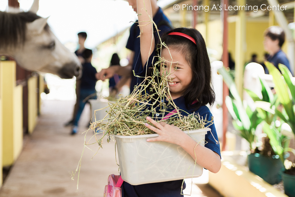 Penang Homeschool visit, Countryside Stables Penang