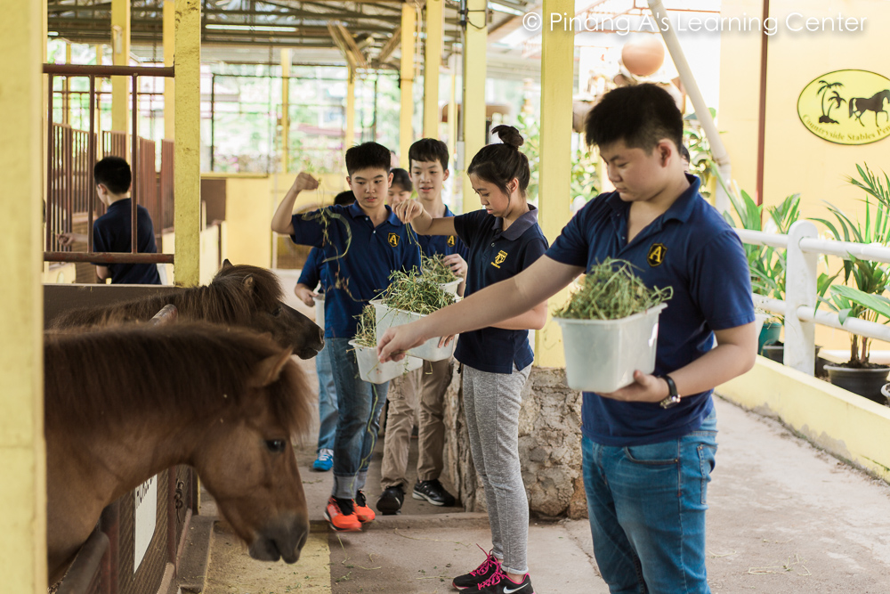 Homeschool visit to Countryside Stables Penang