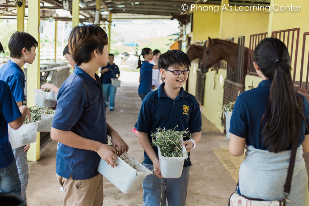 Visit by Penang Homeschool to Countryside Stables Penang