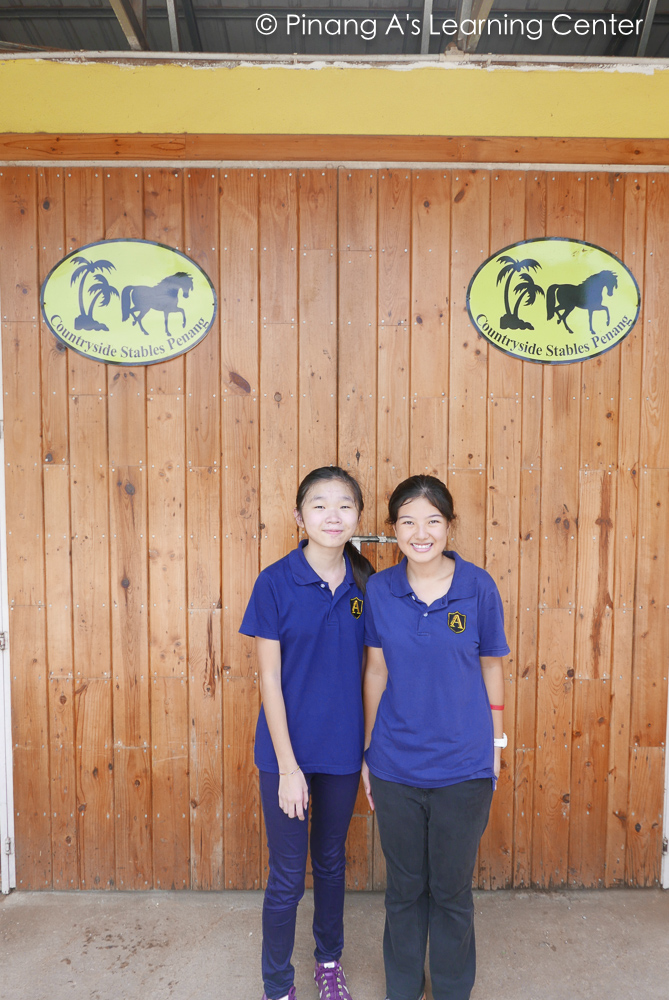 homeschool-visit-countryside-stables-penang-3