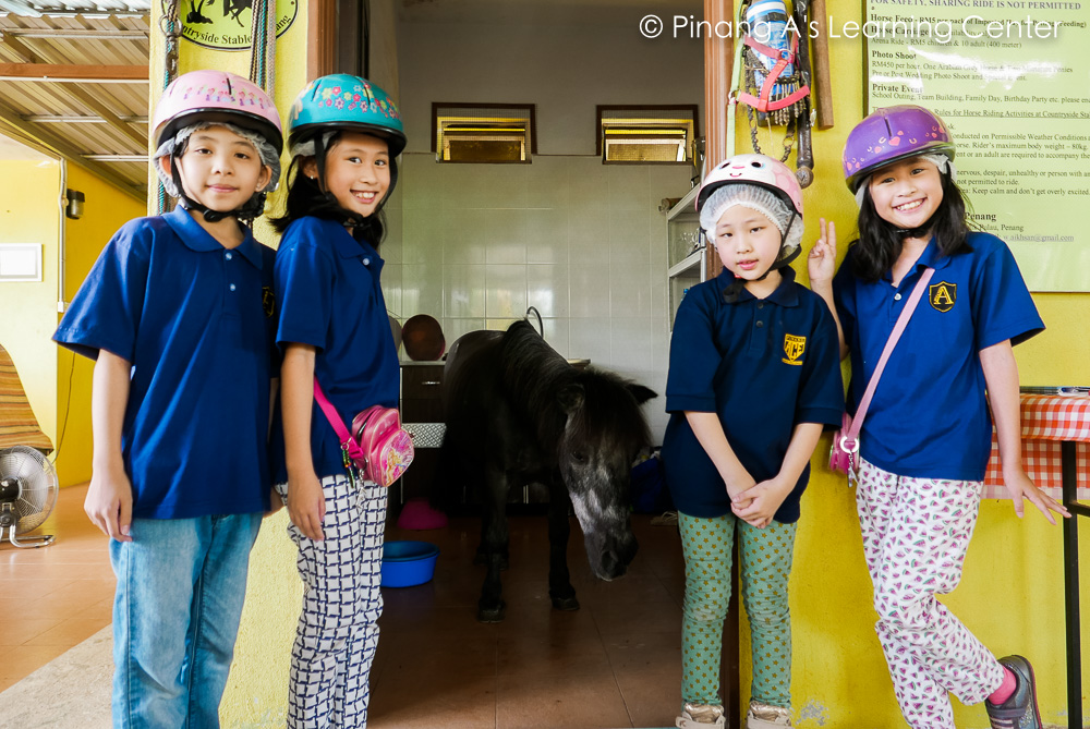 Pony in kitchen, Homeschool visit to Countryside Stables Penang,