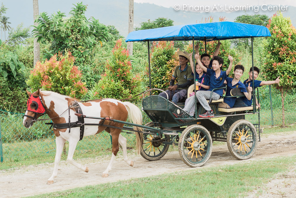 Homeschool visit to Countryside Stables Penang, fun carriage ride