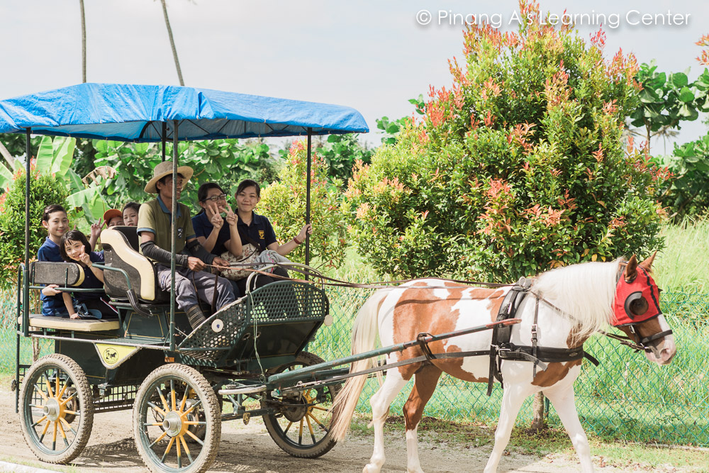 Homeschool visit to Countryside Stables Penang, Carriage ride