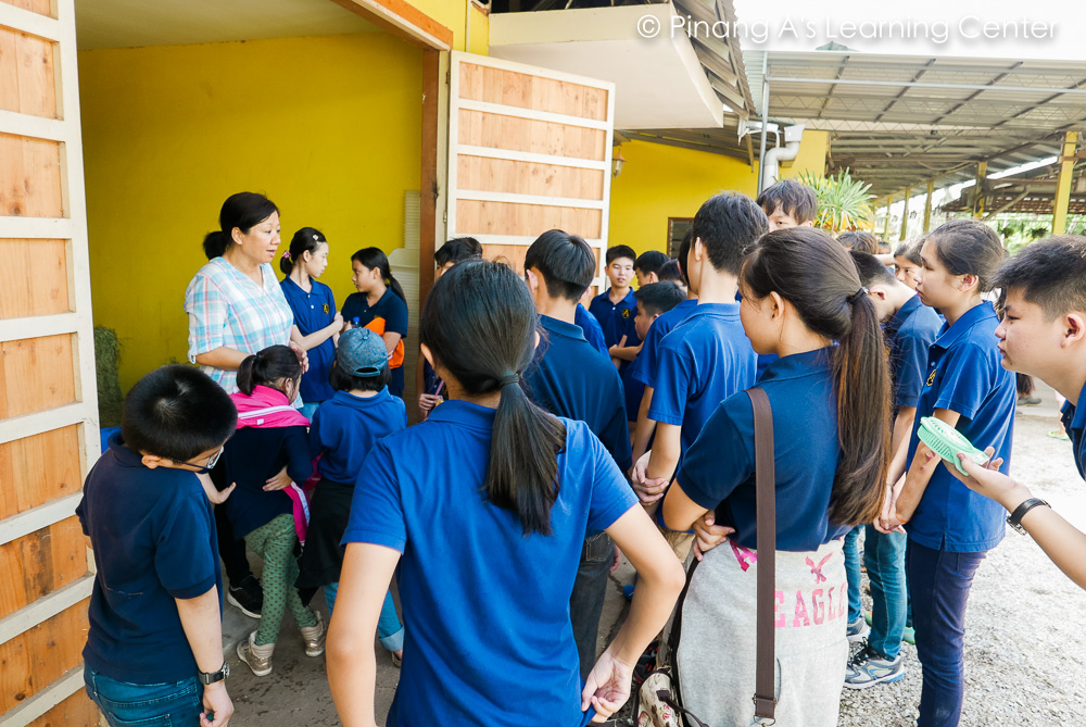 Countryside Stables Penang, Penang homeschool visit